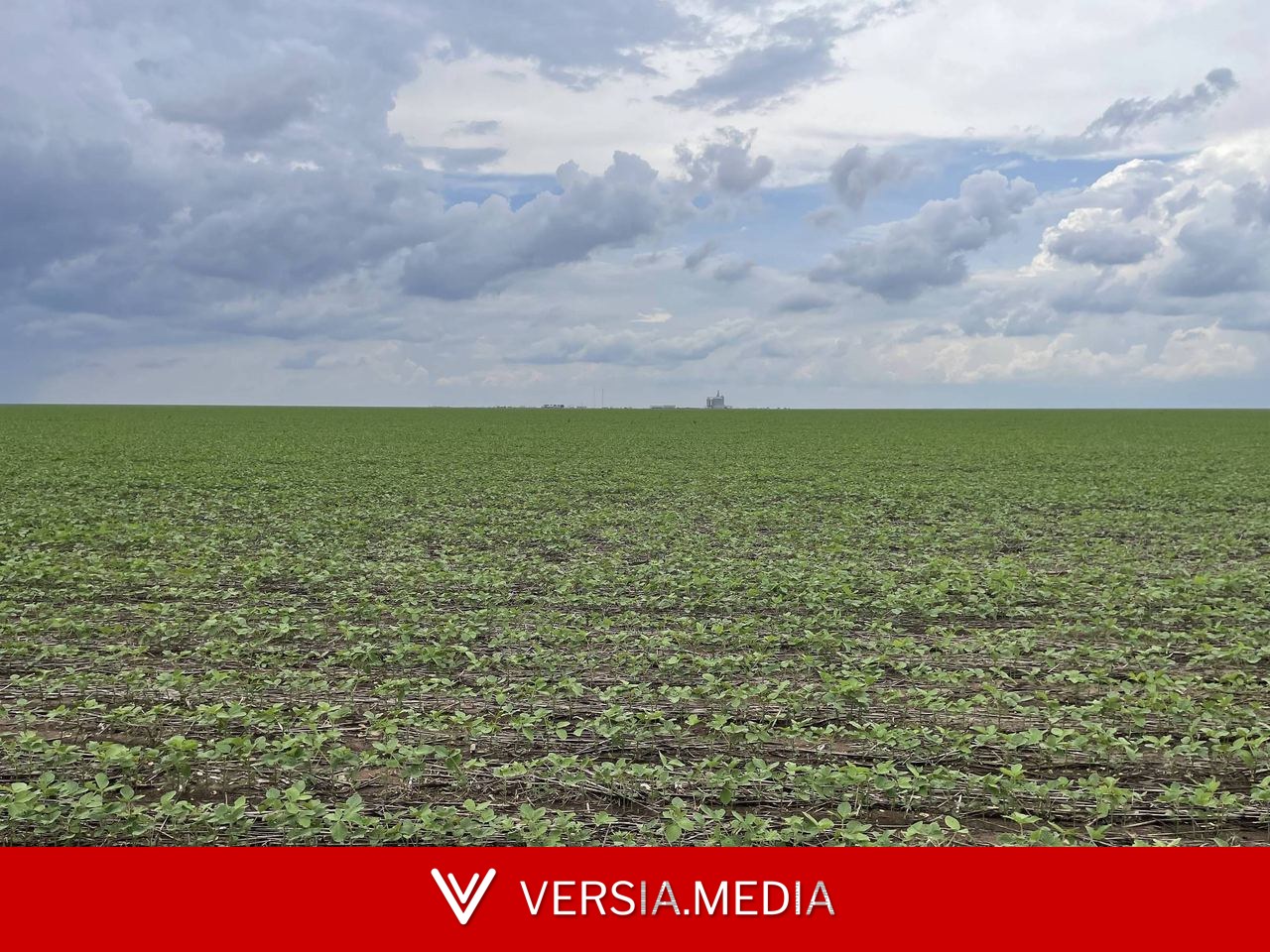 Fabricante de fertilizantes Mosaic reduz produção no Brasil por impactos da guerra no Irã