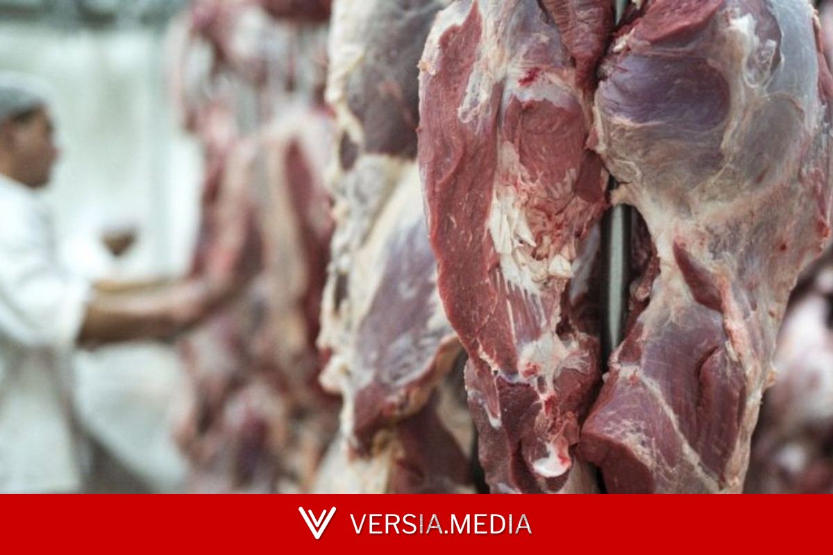 Brasil deve atingir cota de exportação de carne para a China em agosto, e preço do boi gordo cai