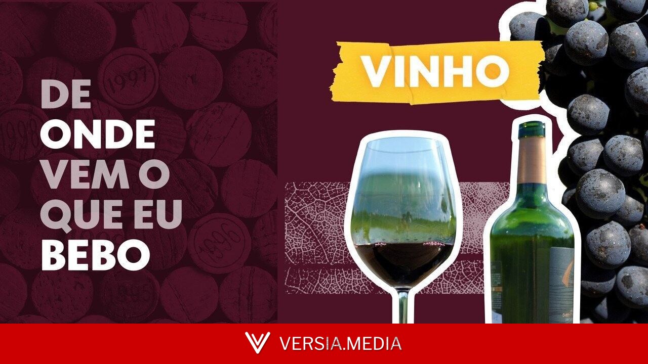 Calor extremo ameaça produção de vinho na França e acelera colheita de uvas