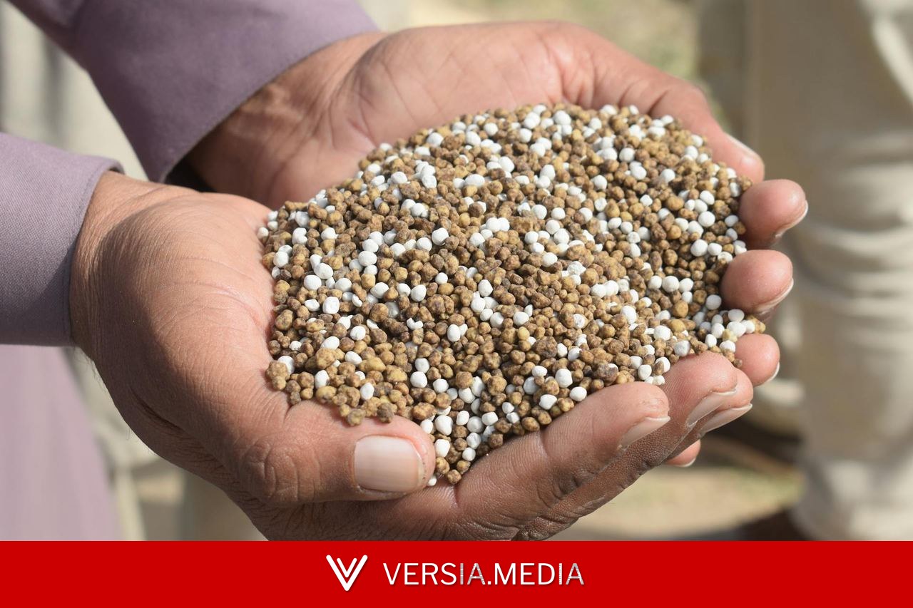 Arroz, café, trigo e mais: como a crise dos fertilizantes — em ano de El Niño — pode pressionar preços
