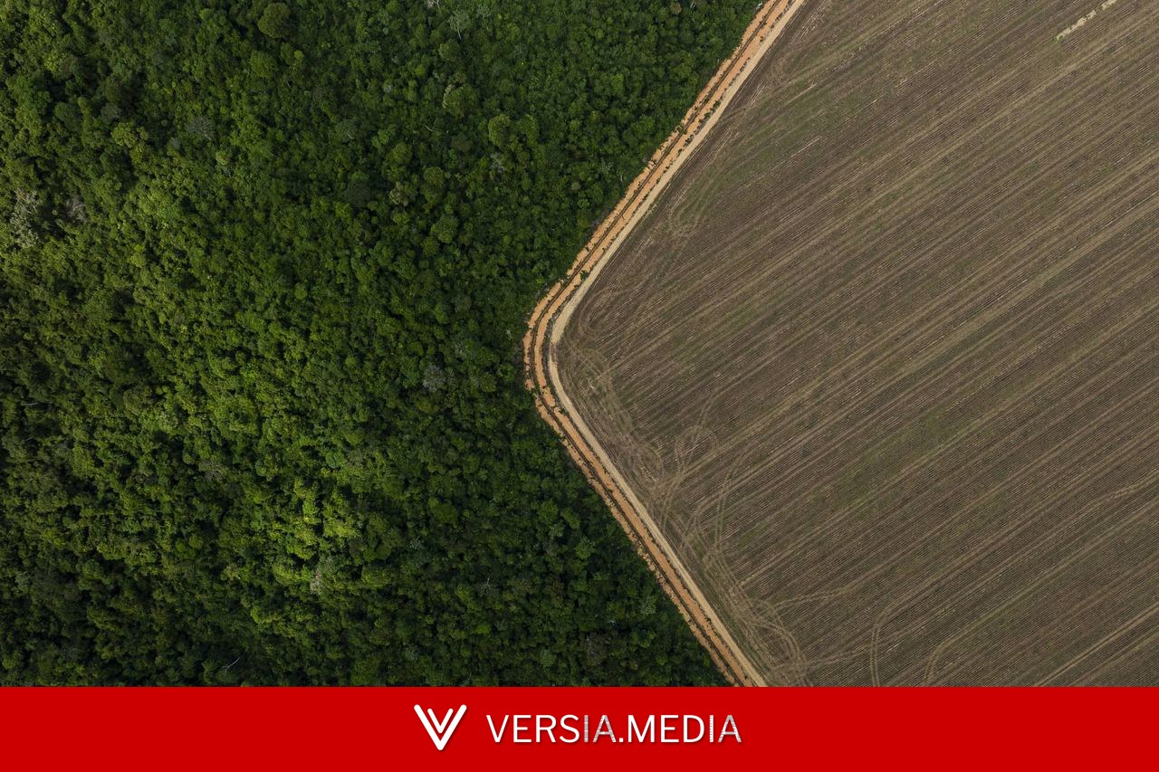 Fabricante do Ozempic faz acordo com Re.green para restauração da amazônia