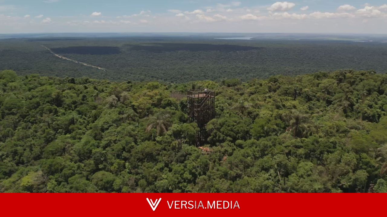 Parque Estadual abriga maior remanescente de Mata Atlântica do interior paulista