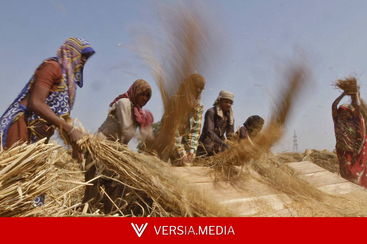 Índia proíbe importação de produtos feitos com trabalho forçado em meio a investigação dos EUA