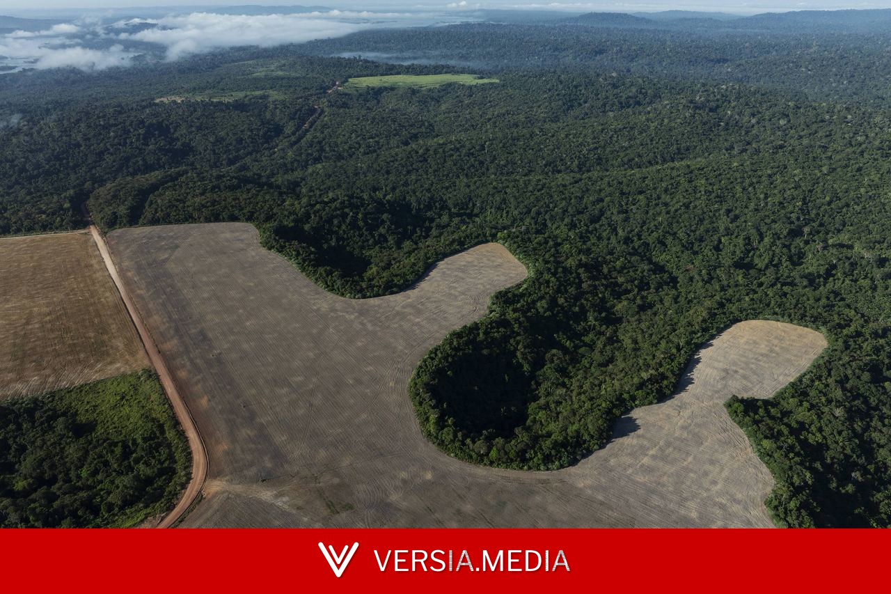Fim da Moratória da Soja aumentará desmate da amazônia em 17% na próxima década, diz análise