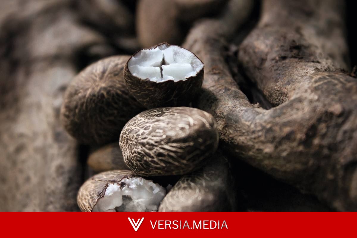 Natura cria startup para vender ingredientes da amazônia a outras indústrias