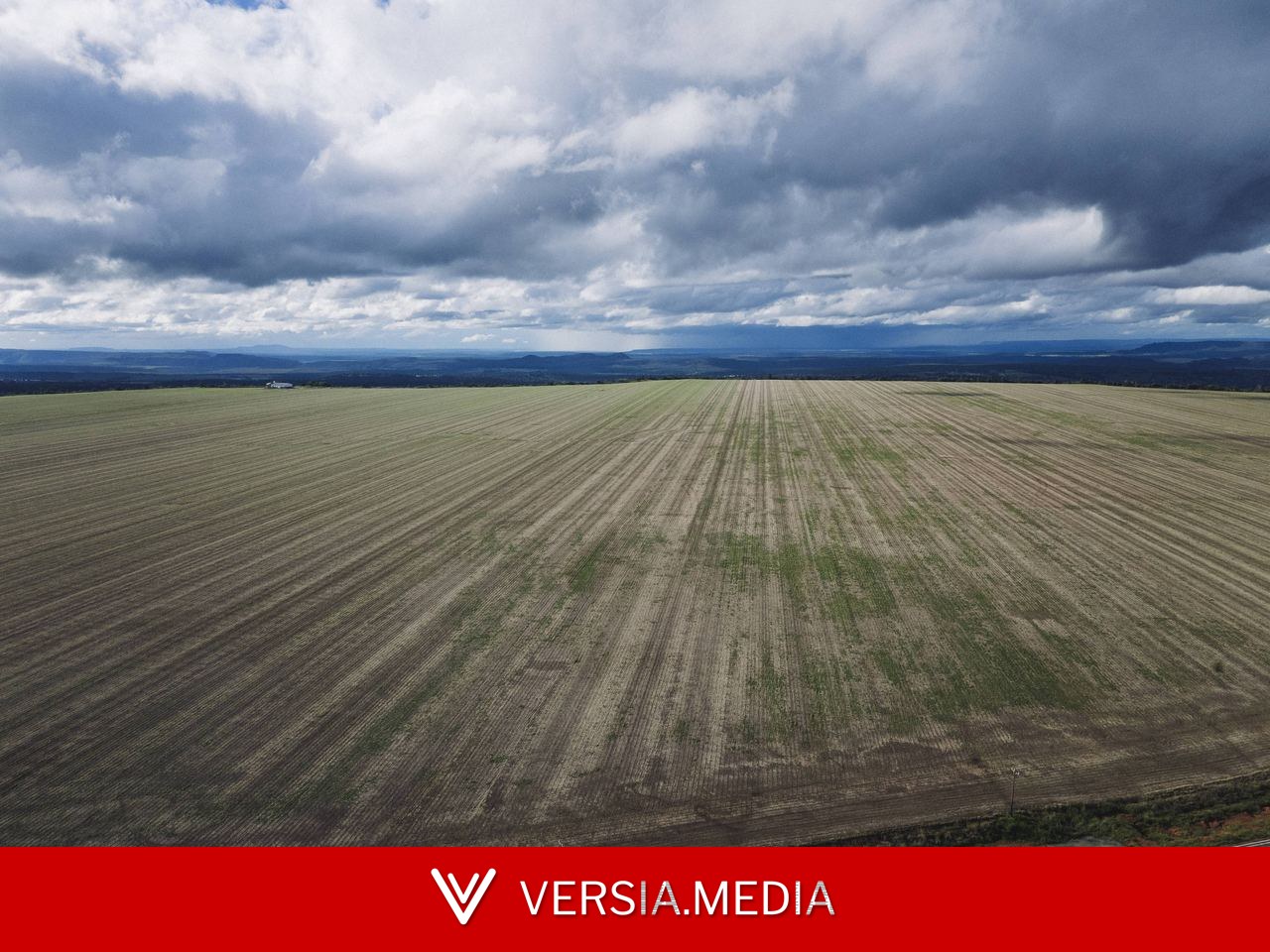 Baixa rentabilidade no campo e câmbio devem reduzir vendas de máquinas agrícolas em até 20%