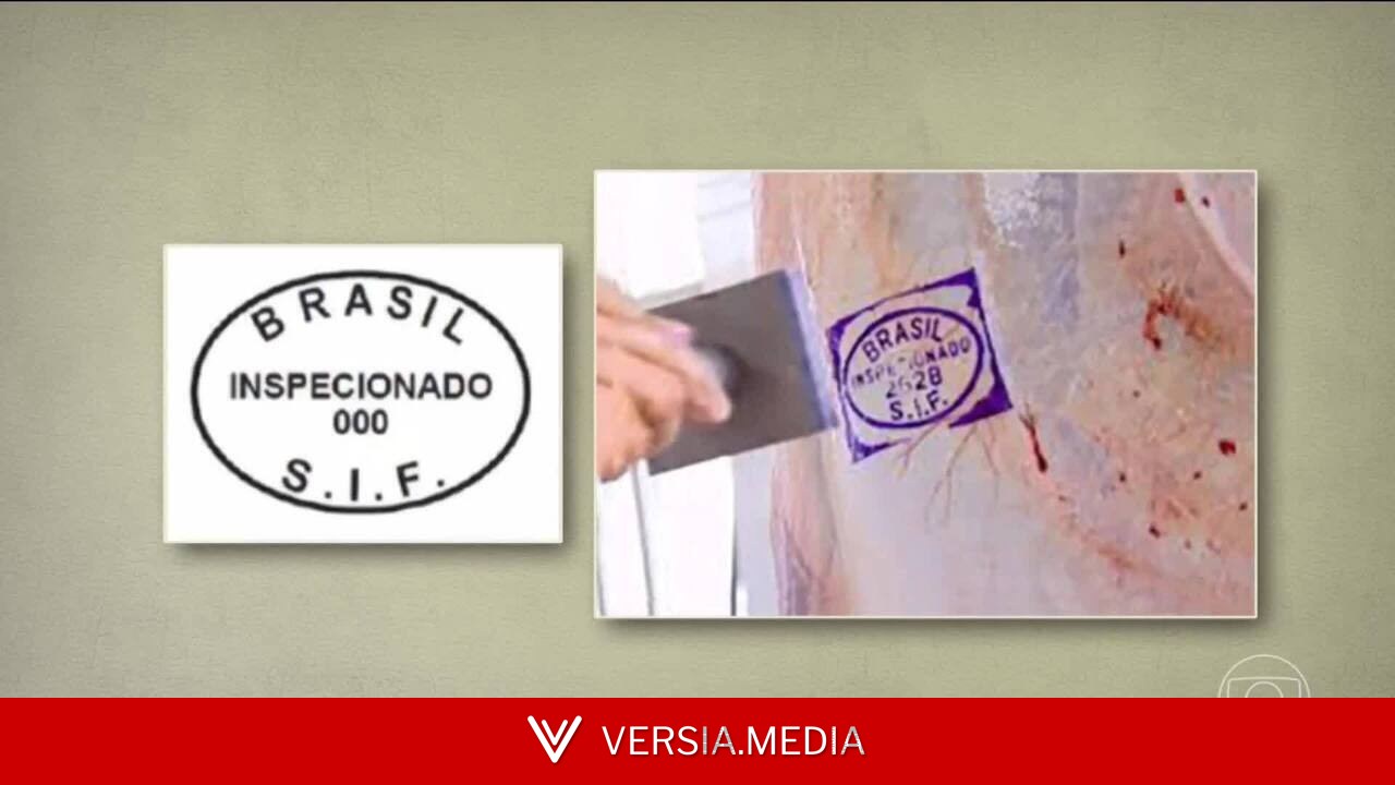 Como montar uma horta em casa