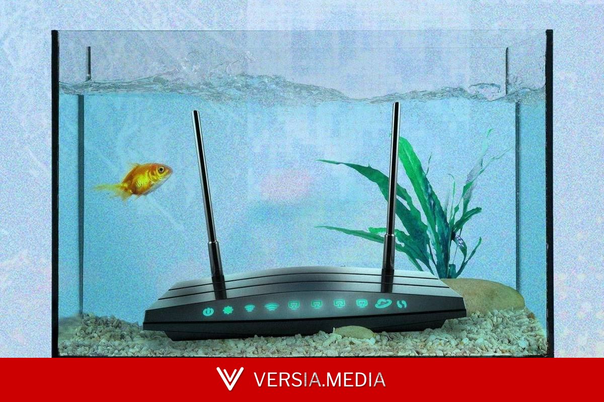 As coisas mais estranhas que podem piorar o sinal de wi-fi da sua casa