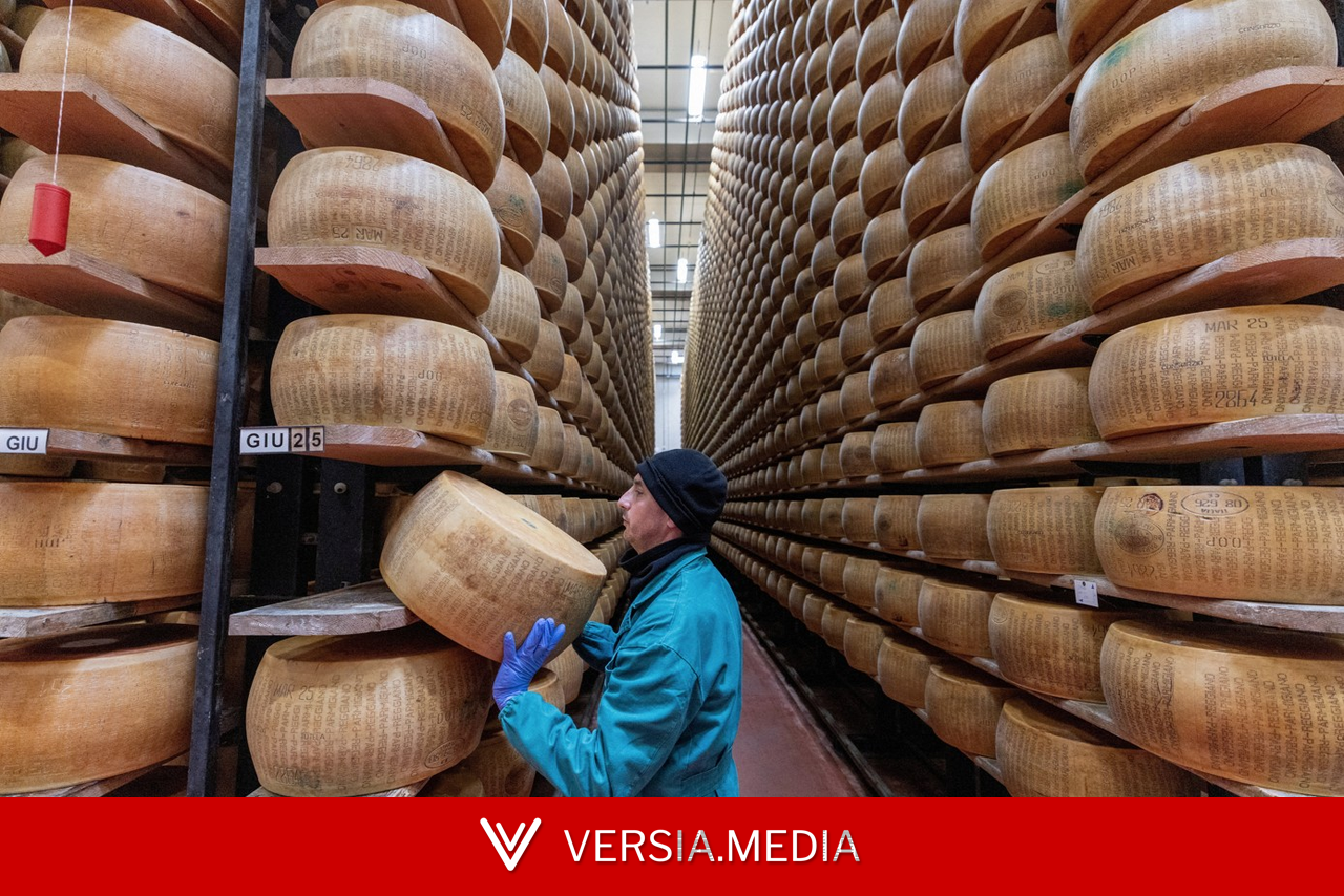 'Não queremos ser a última geração a comer esse queijo': ondas de calor ameaçam a produção do Parmigiano Reggiano na Itália