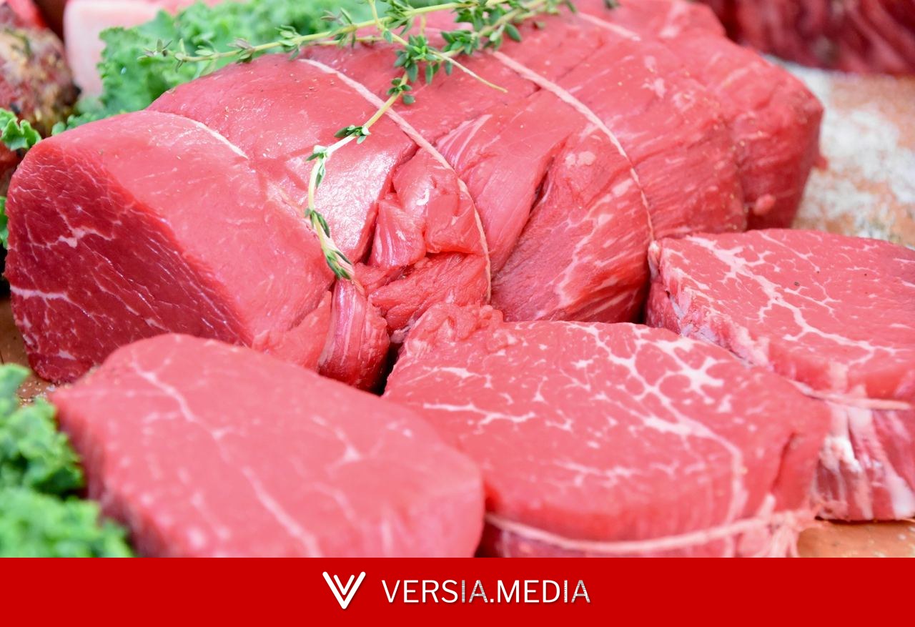 Governo brasileiro altera regras de exportação de carnes para União Europeia e tenta evitar embargo
