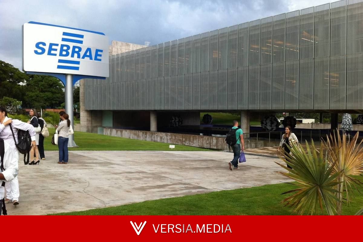 Micro e pequenas empresas empregam mais mulheres e têm menor desigualdade salarial, diz Sebrae